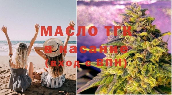 сатива Бородино