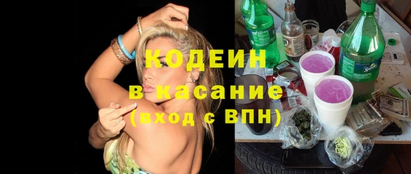 сатива Бородино