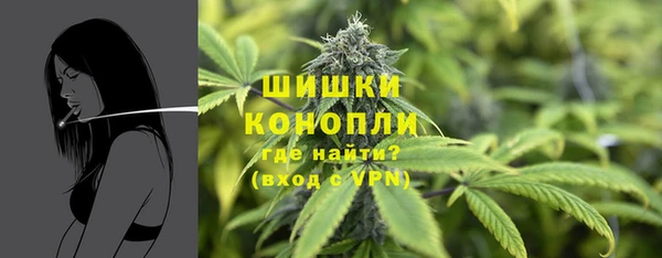 сатива Бородино