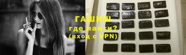 сатива Бородино