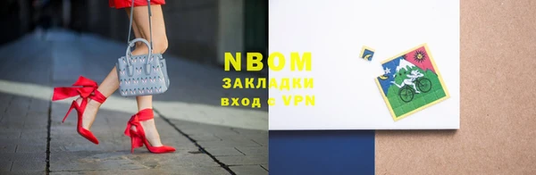 сатива Бородино