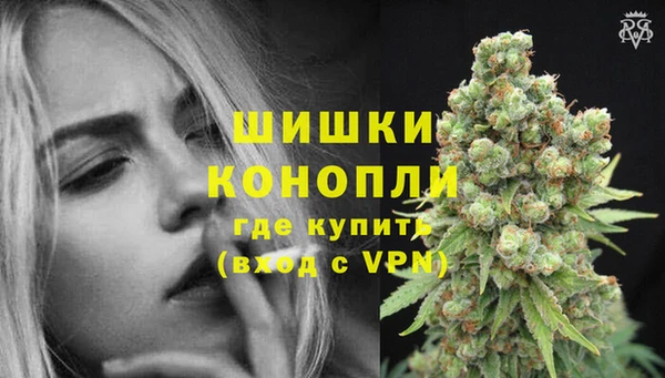 сатива Бородино