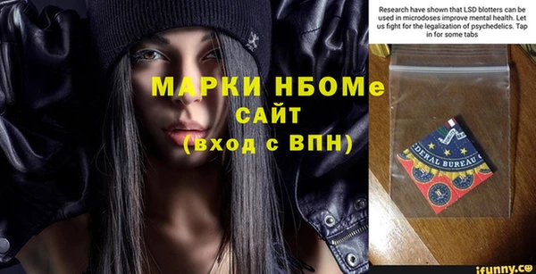 сатива Бородино