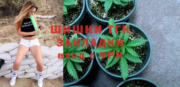 сатива Бородино