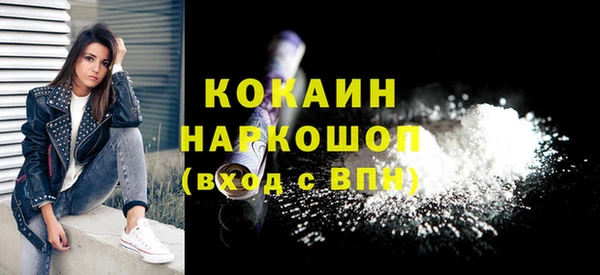 сатива Бородино
