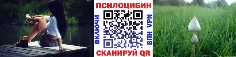 гидра ссылки  Новохопёрск  Псилоцибиновые грибы ЛСД 